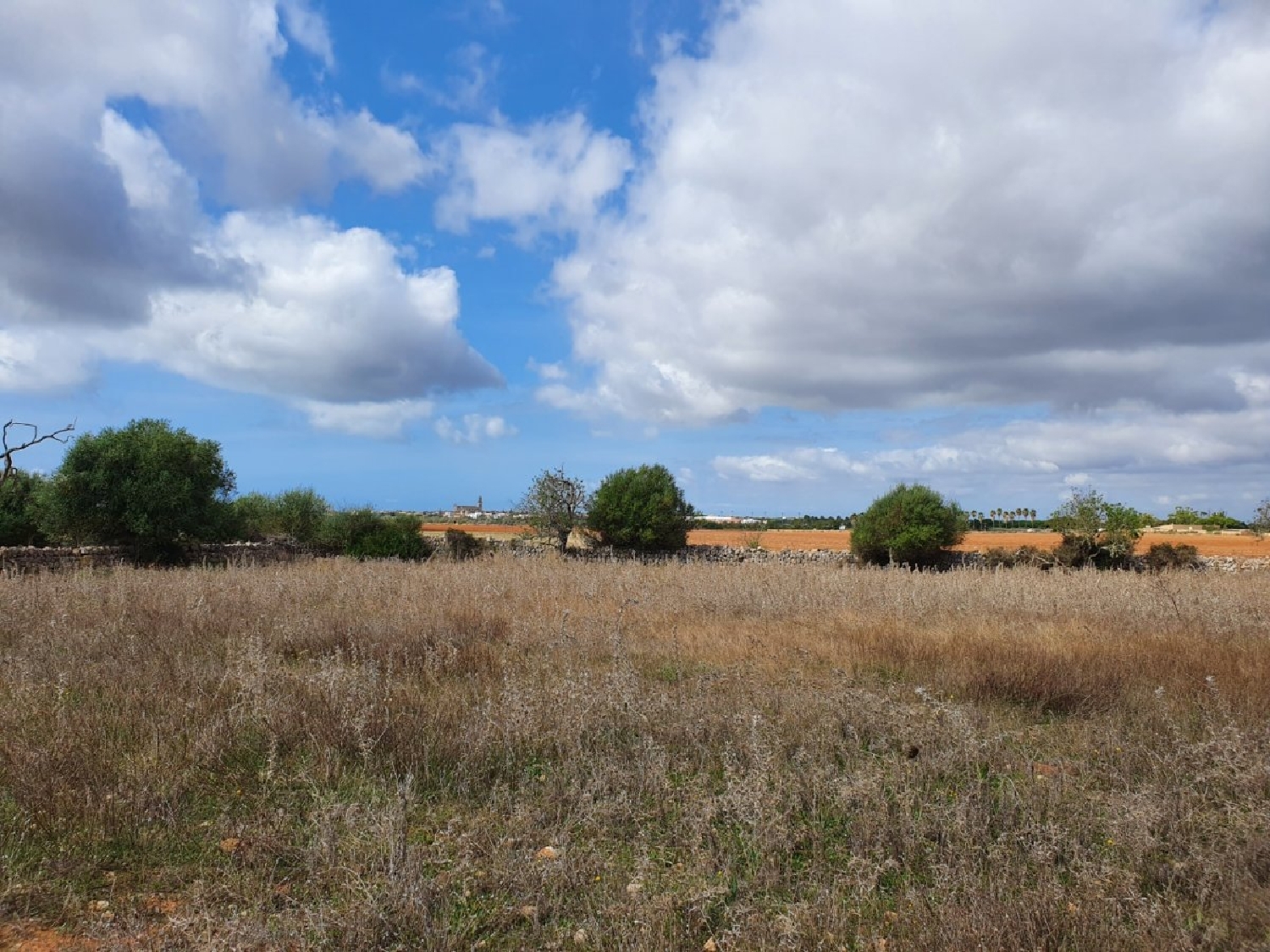  till salu hus Ses Salines Sud 5