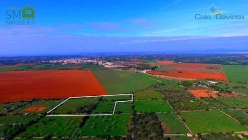 Ses Salines Sud hus foto 6240823