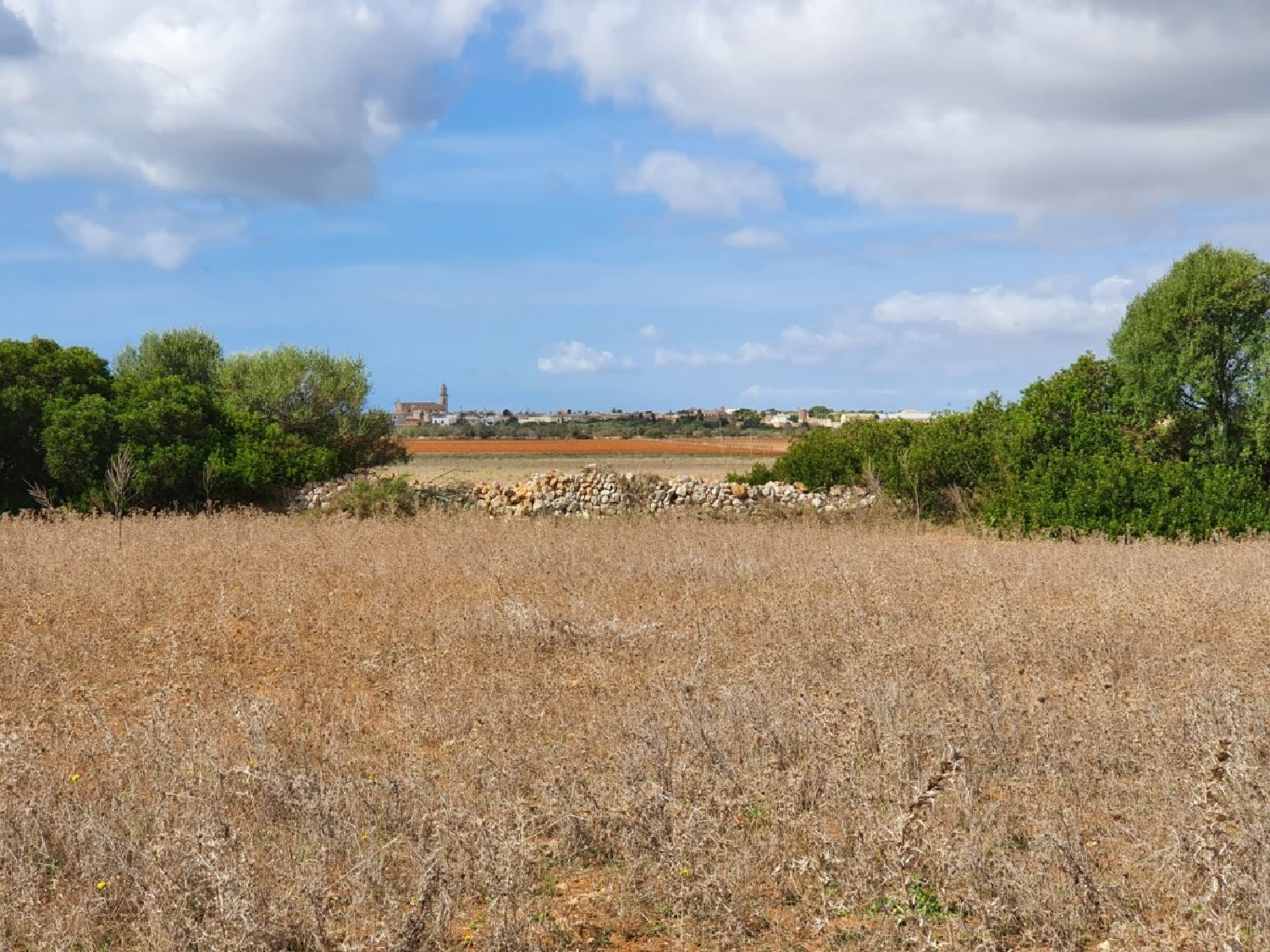till salu hus Ses Salines Sud 3