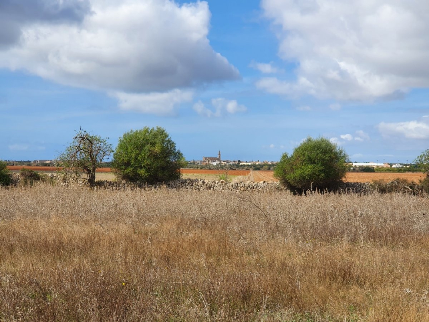  till salu hus Ses Salines Sud 4