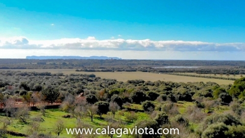 Ses Salines Sud hus foto 6240824