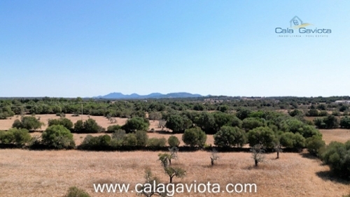 Ses Salines Sud hus foto 6240834