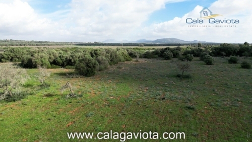 Ses Salines Sud hus foto 6240840