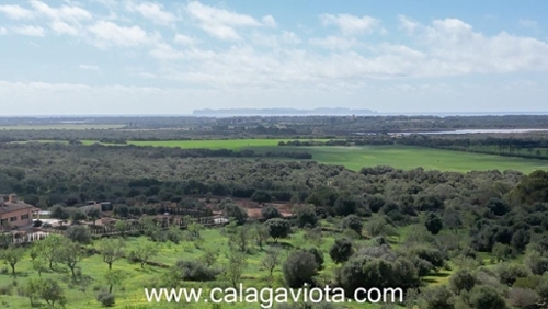 Ses Salines Sud hus foto 6240868