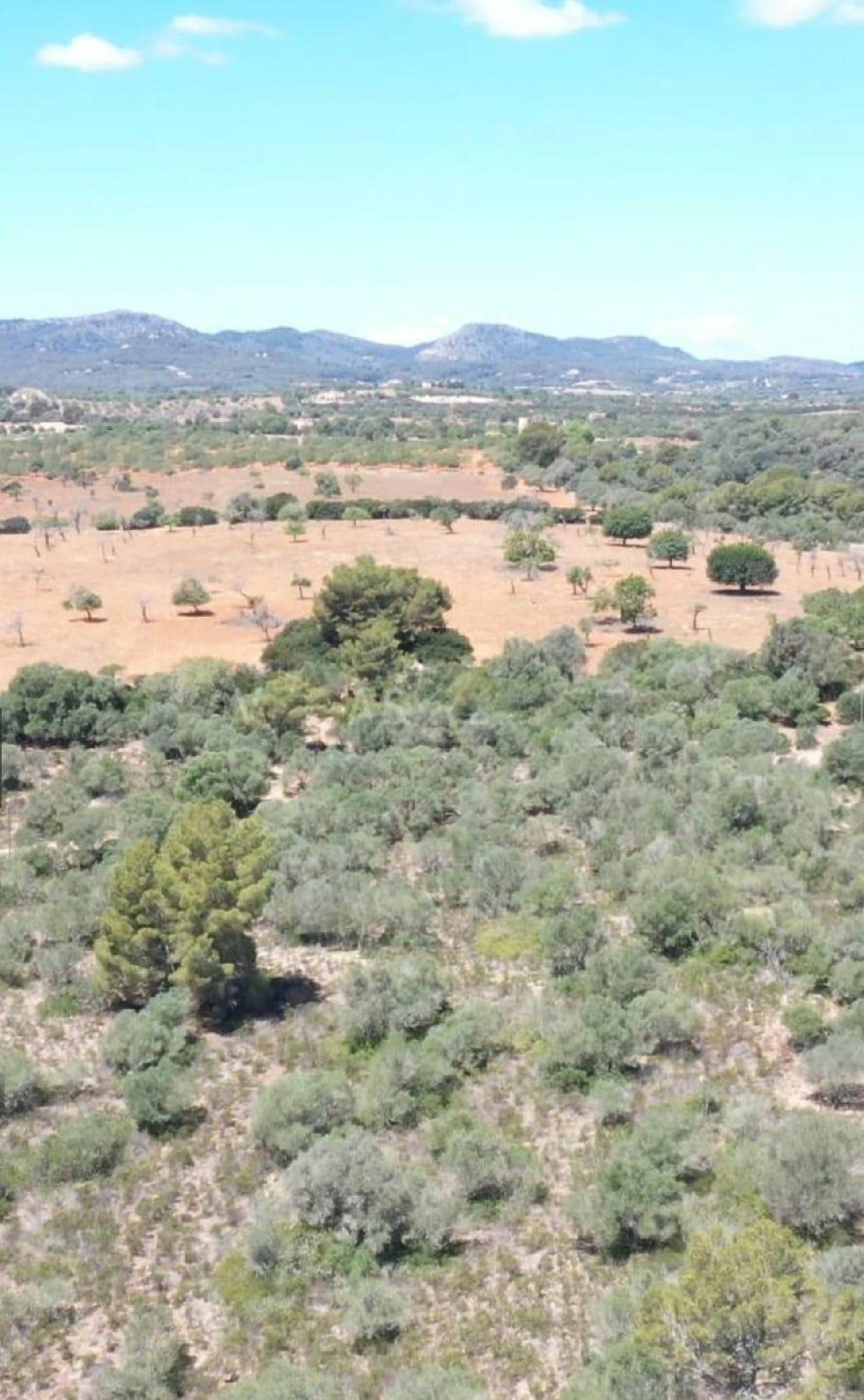  till salu hus Cala Romàntica Llevant 4