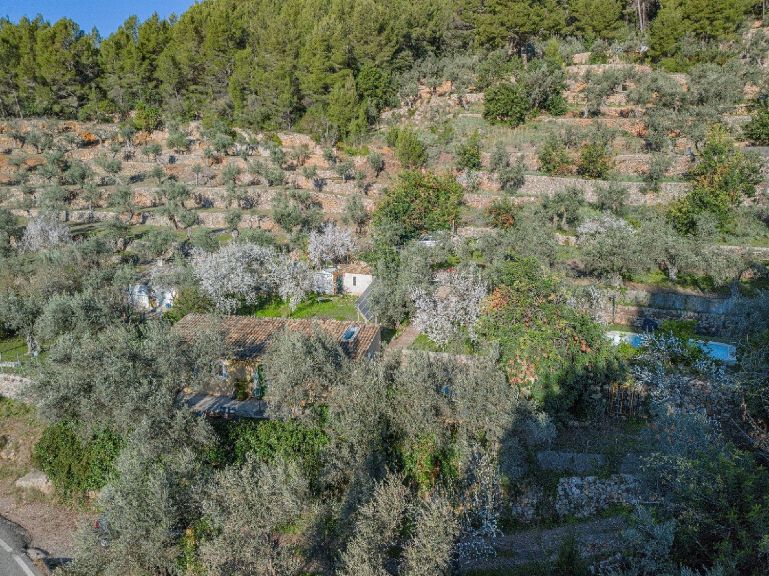 till salu hus Sóller Tramuntana 5