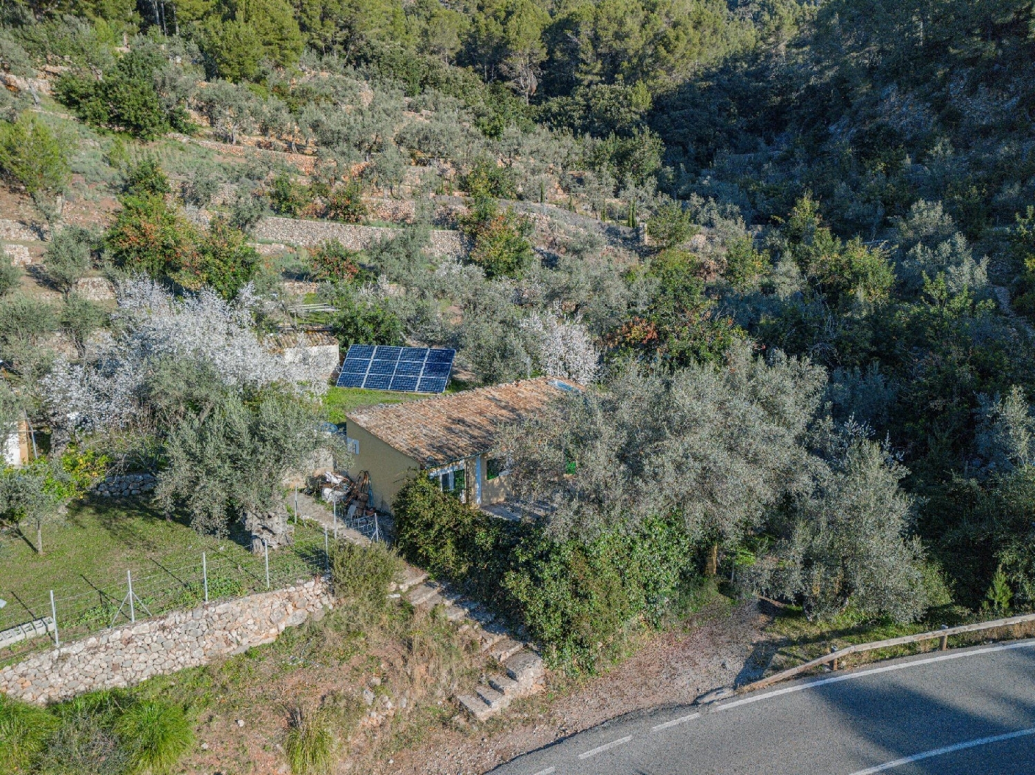  till salu hus Sóller Tramuntana 4