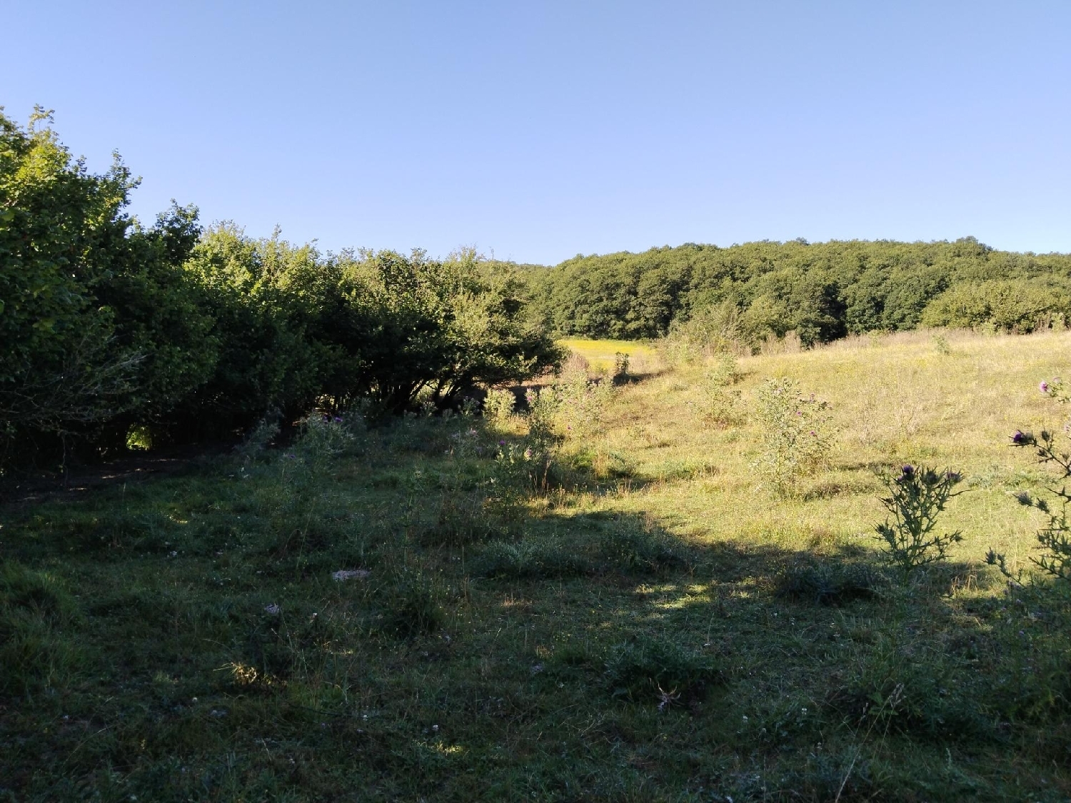  till salu hus Sorogain - Lastur Pirineo 5