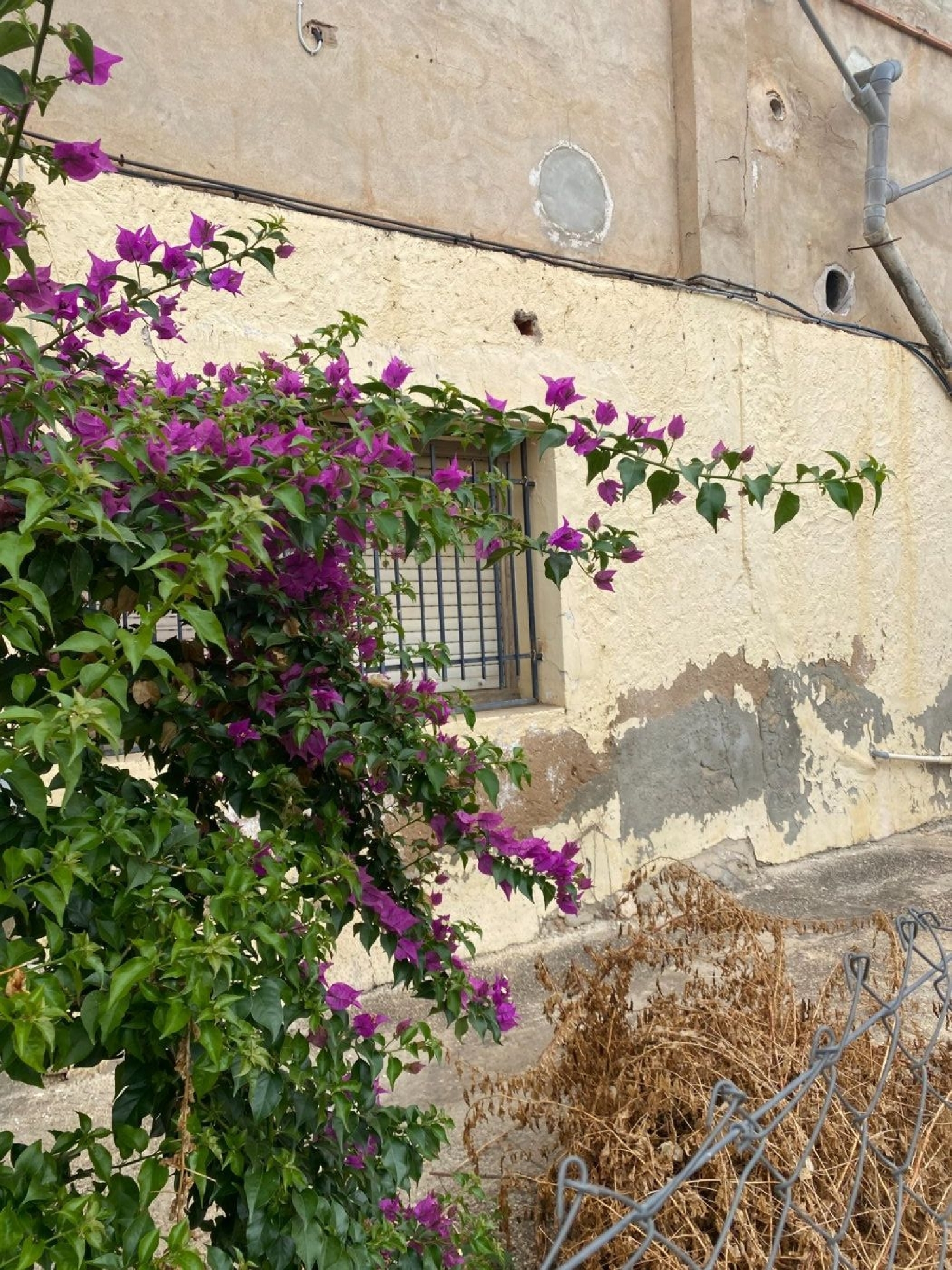 till salu hus Sumacàrcer Ribera Alta 3