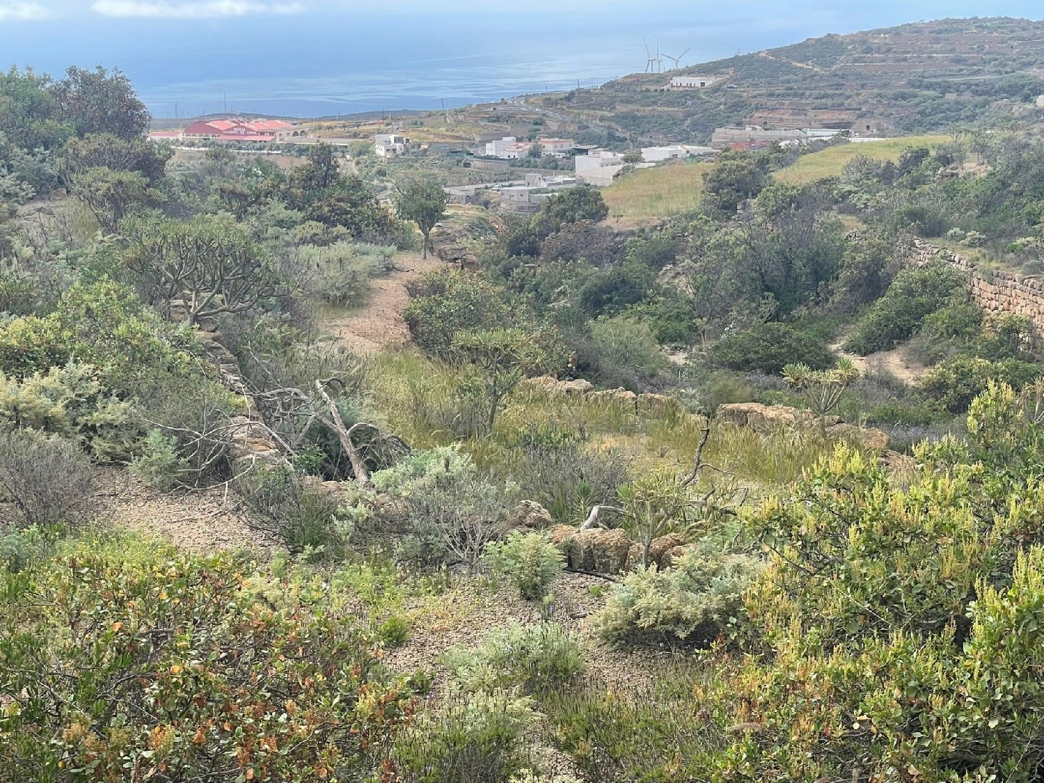 till salu hus Teguedite Zona Sureste 2