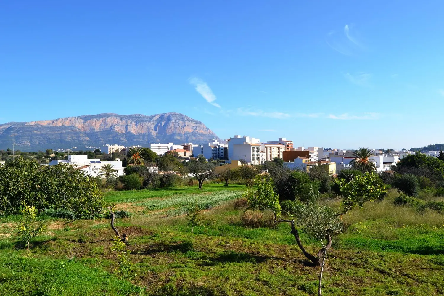  till salu hus The Golden Mile Costa Del Sol Occidental 1