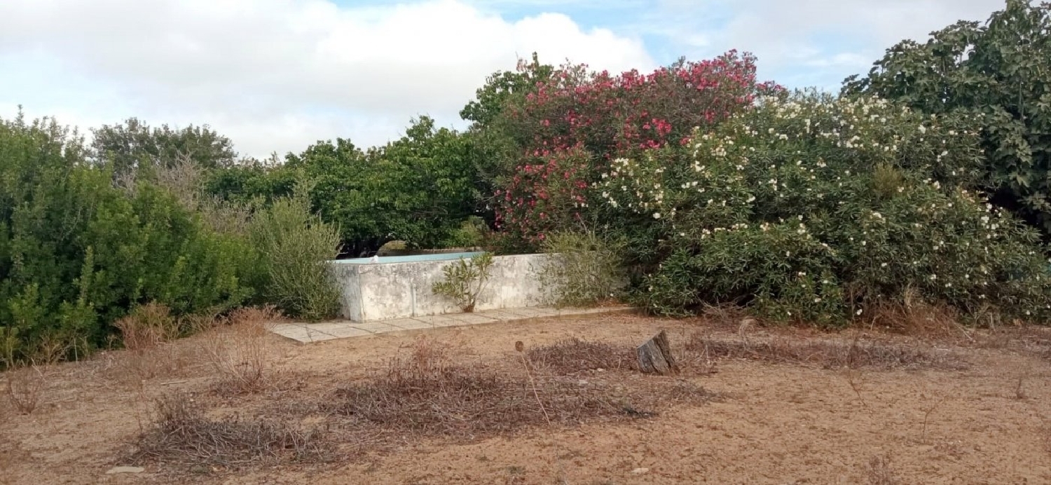  till salu hus Torre Del Puerco Bahía De Cádiz 5
