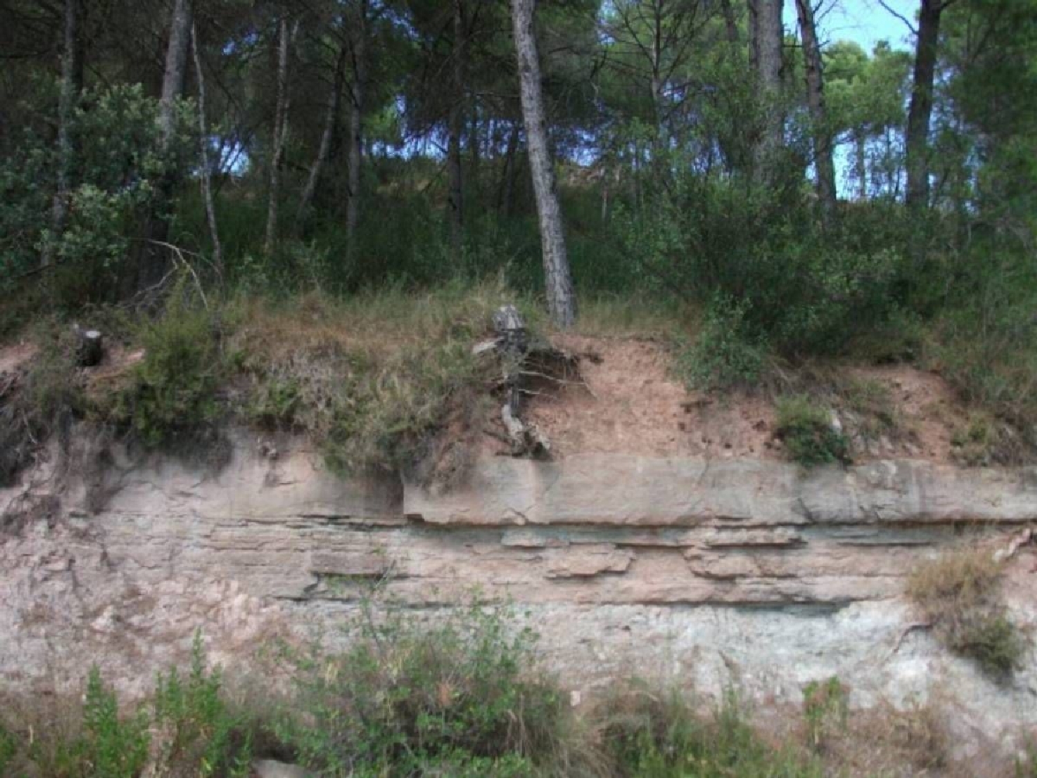  till salu hus Torroella De Baix Bages 2