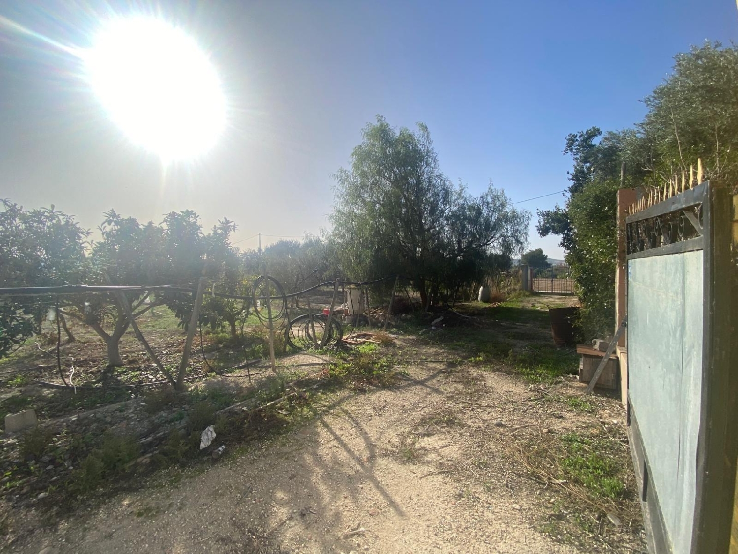  till salu hus Vereda Brunete Baix Segura 8