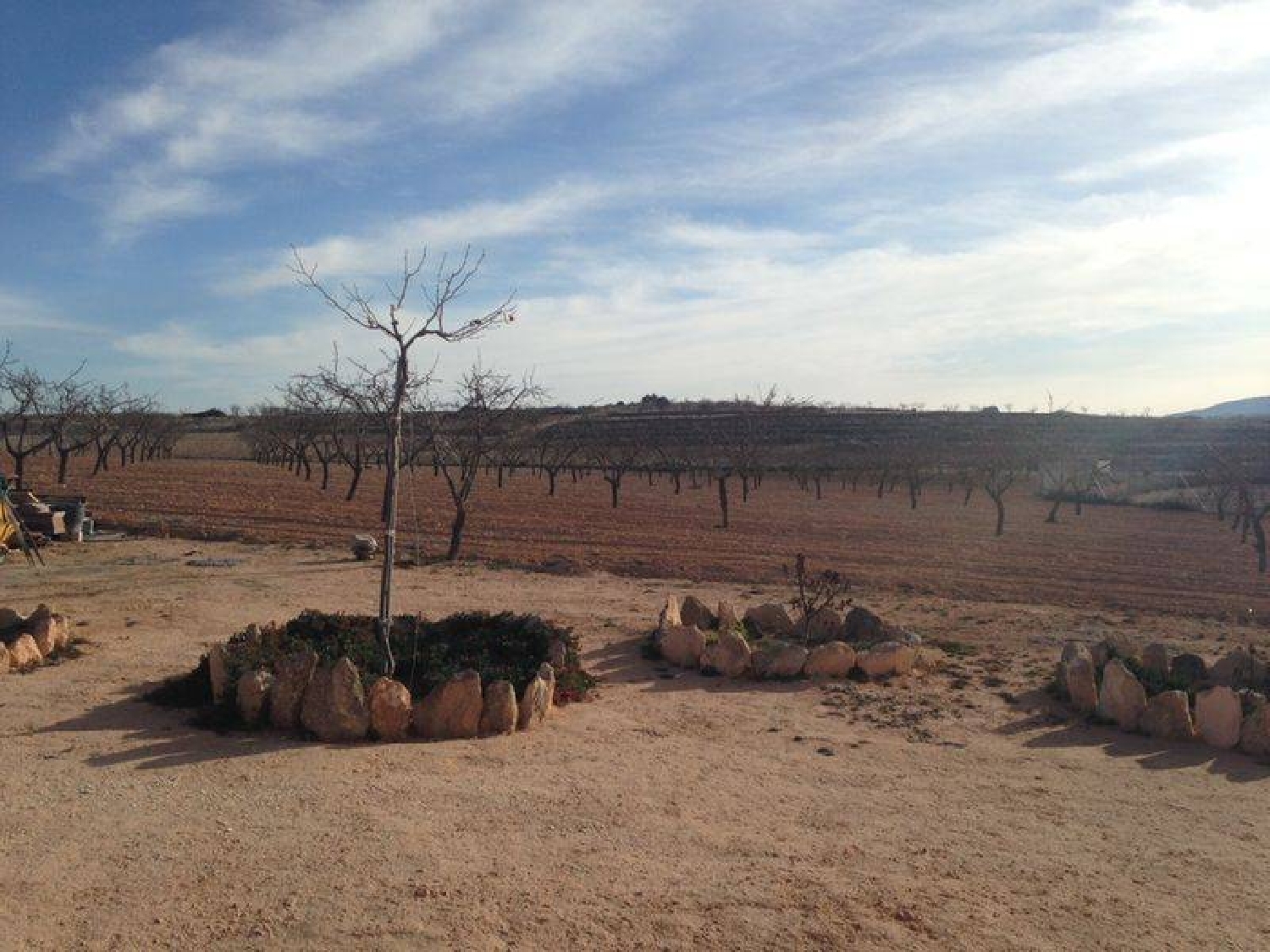  till salu hus Casas De Ibáñez Vinalopó Mitjà 5