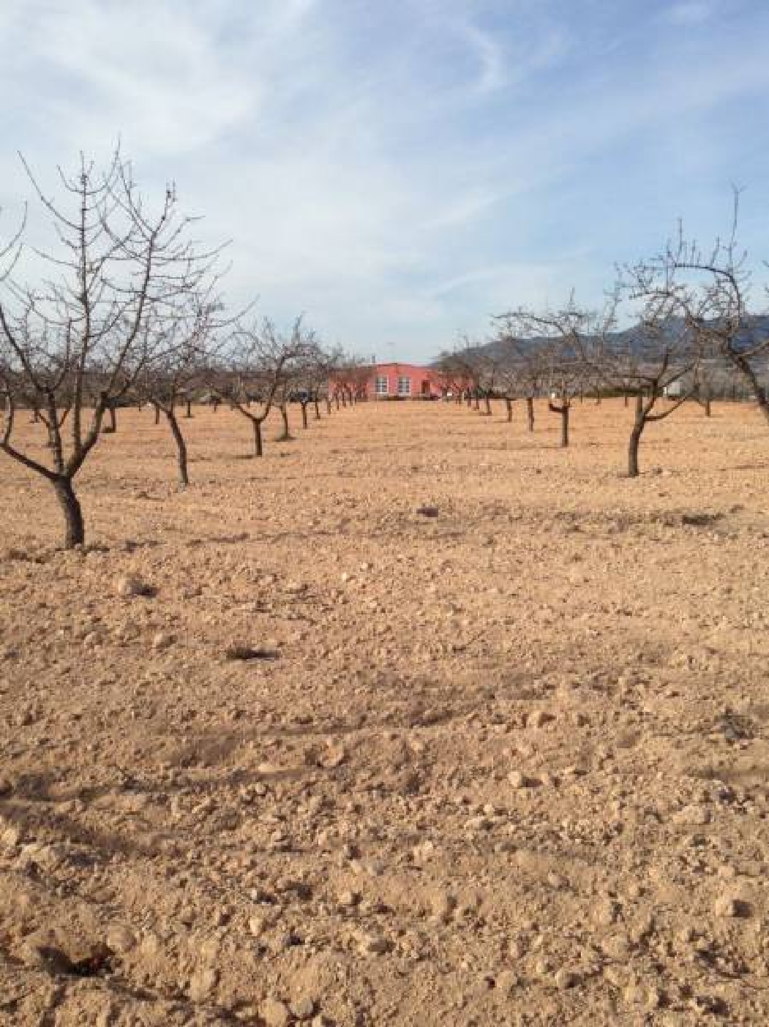 till salu hus Casas De Ibáñez Vinalopó Mitjà 3