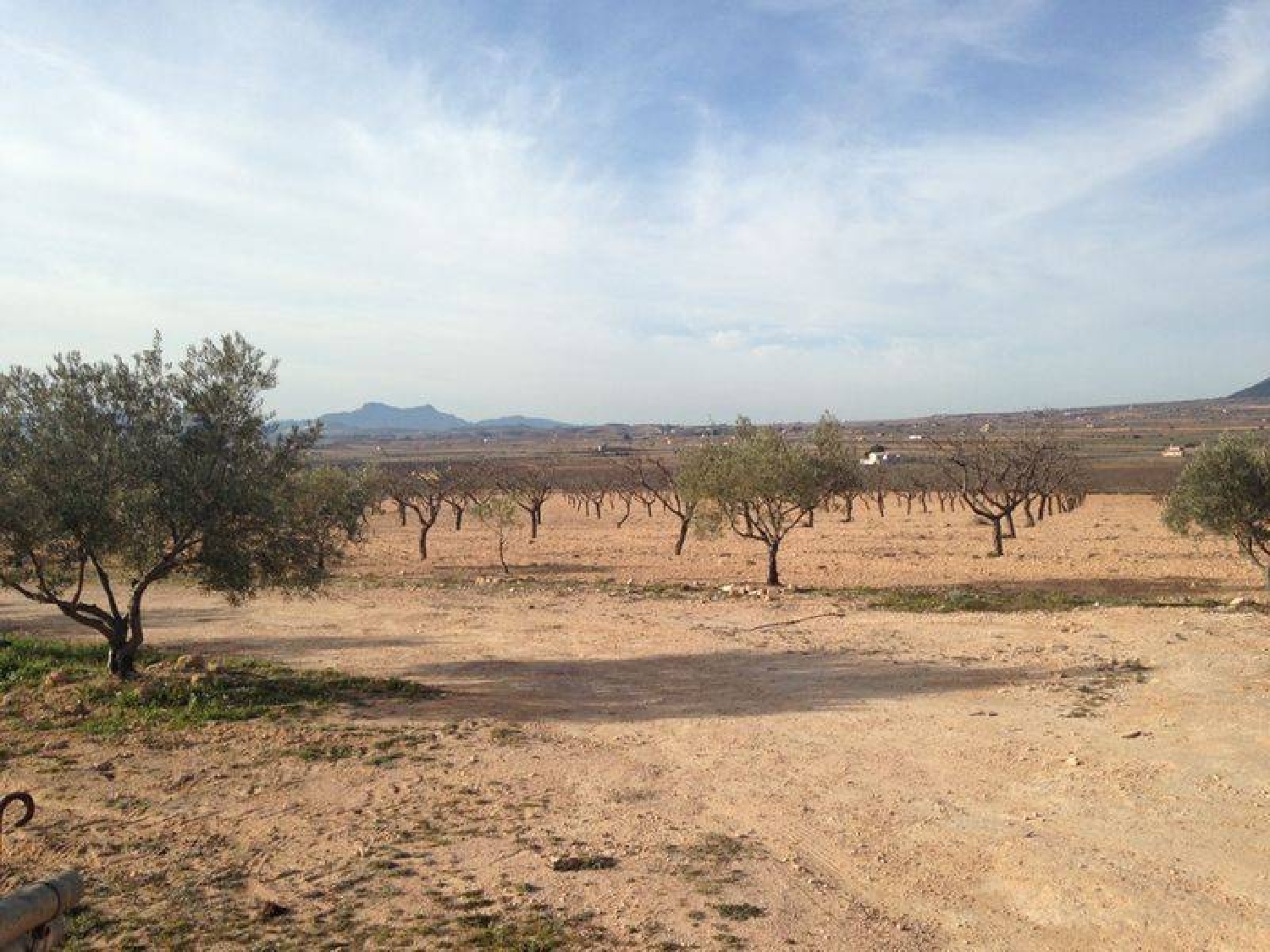  till salu hus Casas De Ibáñez Vinalopó Mitjà 4