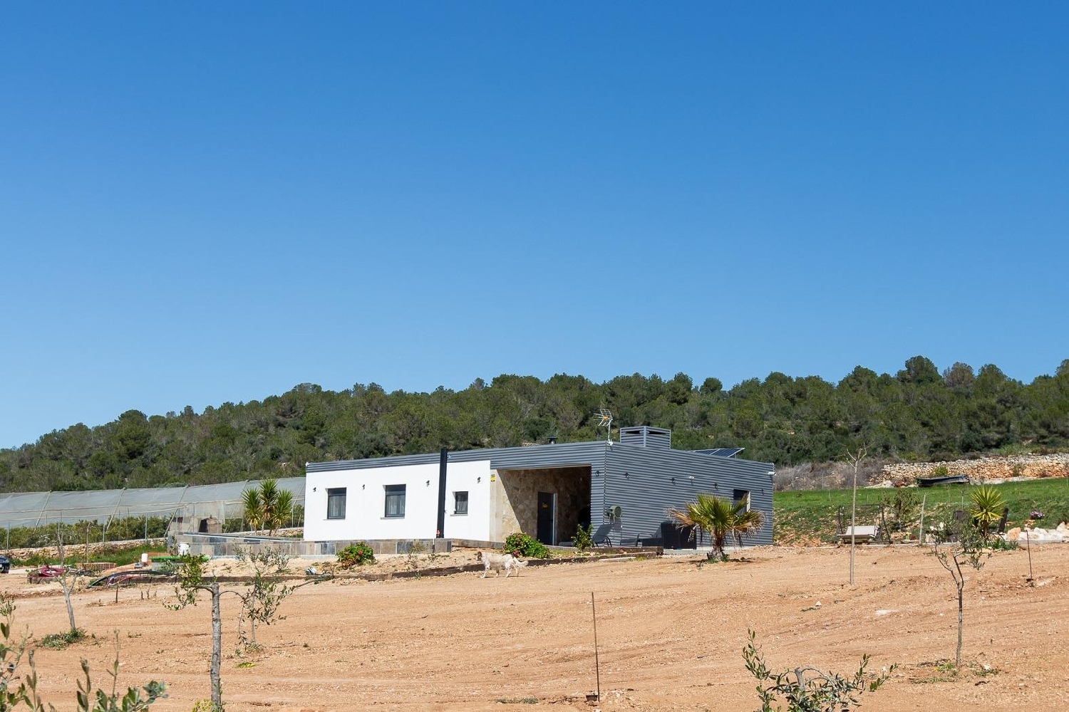  till salu hus Ulldecona Montsià 6