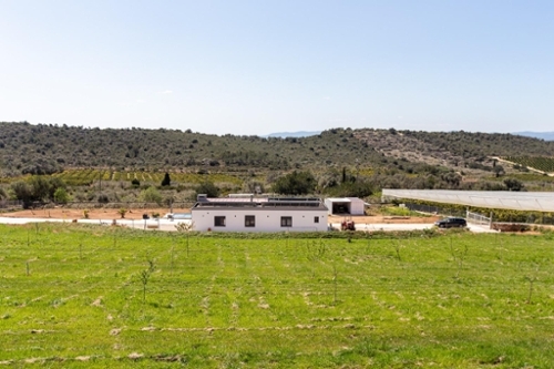 Ulldecona Montsià hus foto 6219373