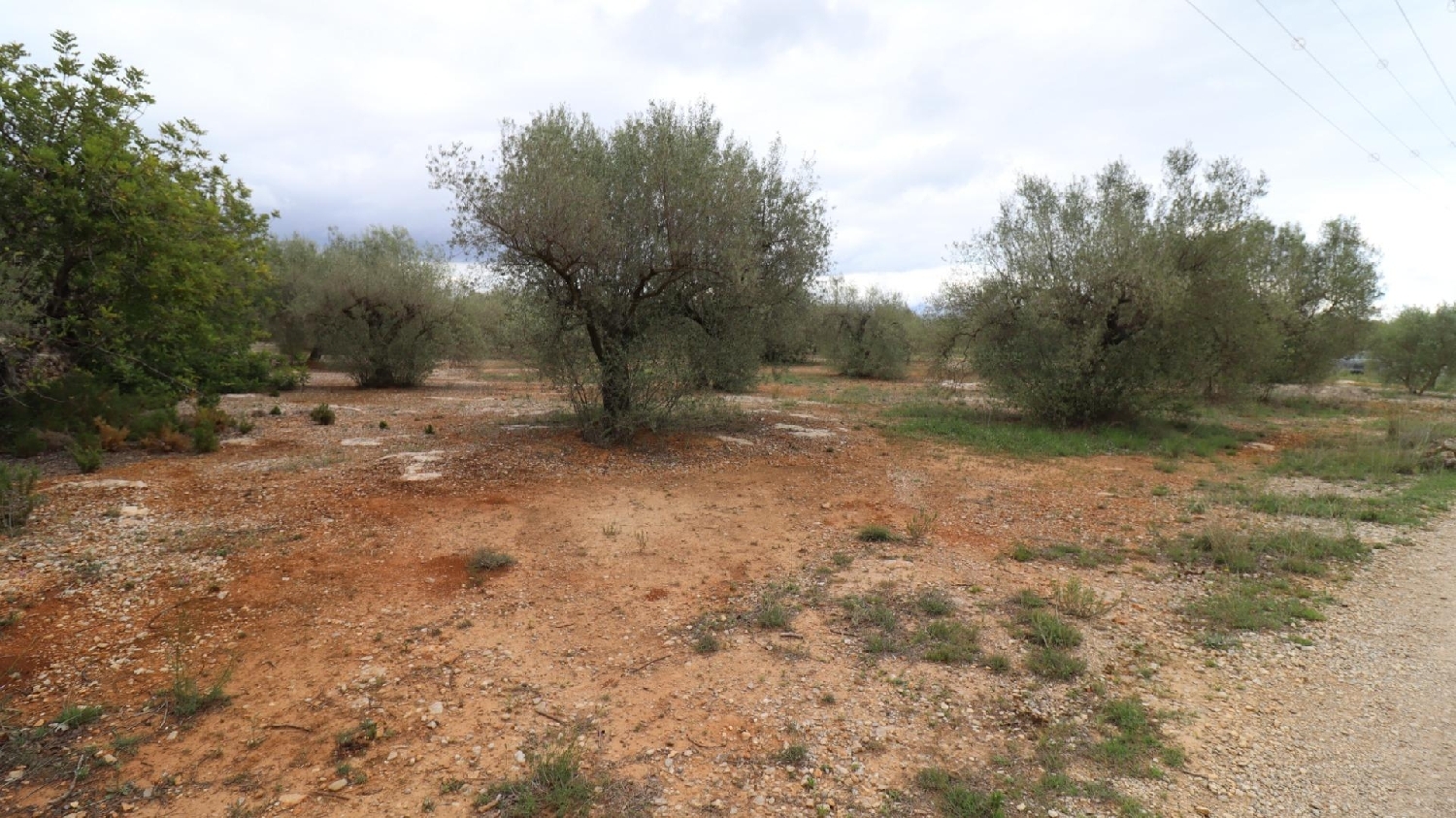  kaufen Haus Ulldecona Montsià 6