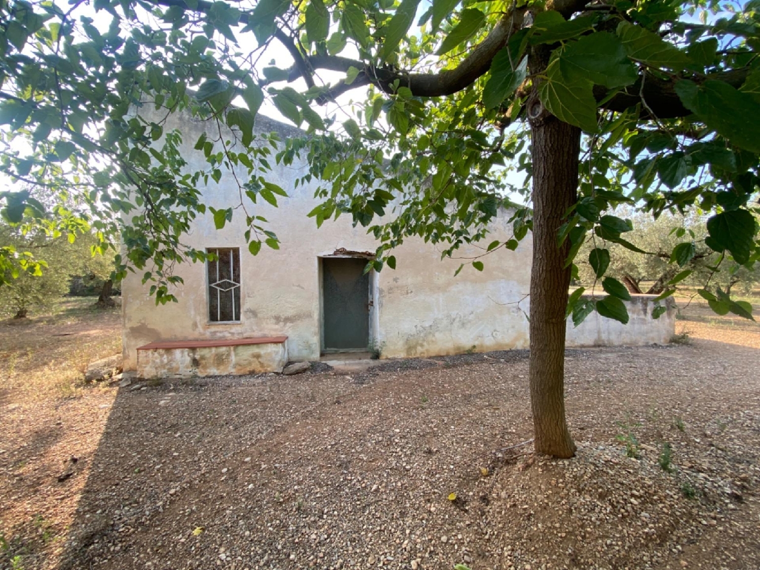  till salu hus Ulldecona Montsià 1
