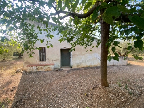 Ulldecona Montsià hus foto 6229965