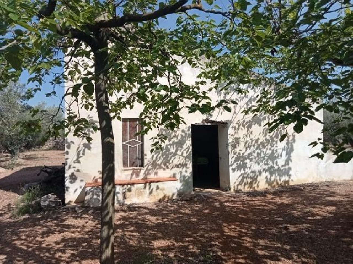  till salu hus Ulldecona Montsià 7