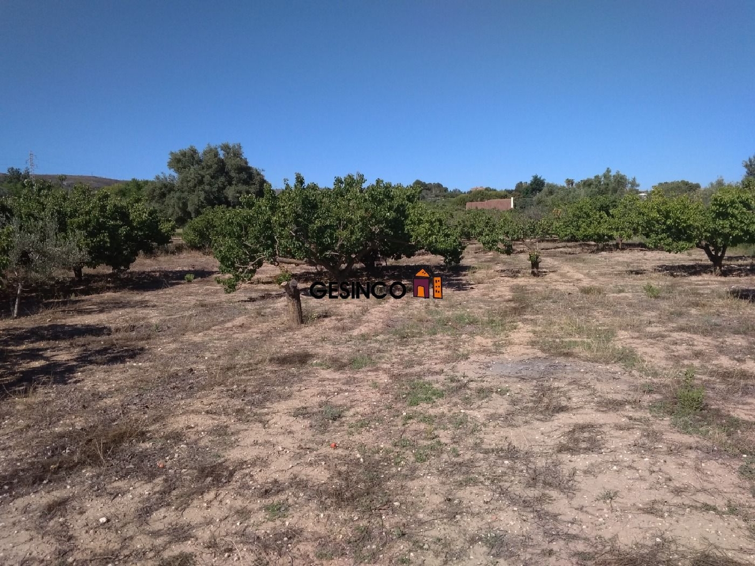  till salu hus Urbanitzacio El Pilar Vall D'albaida 3