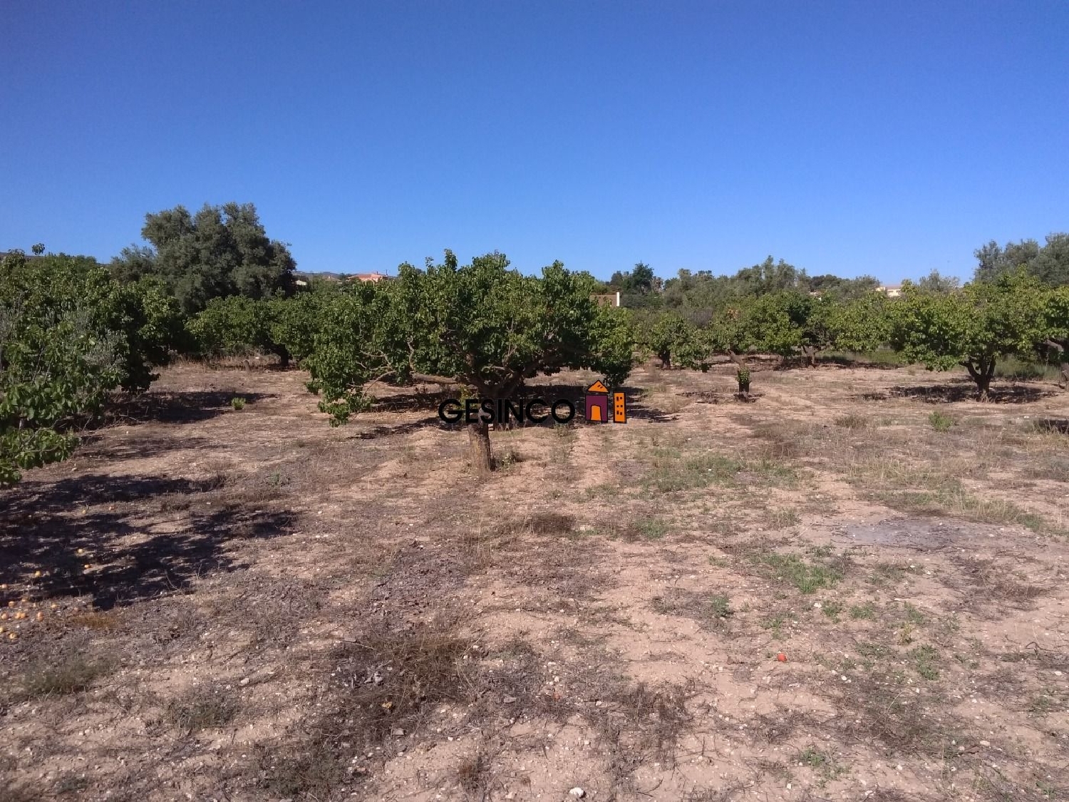  till salu hus Urbanitzacio El Pilar Vall D'albaida 2