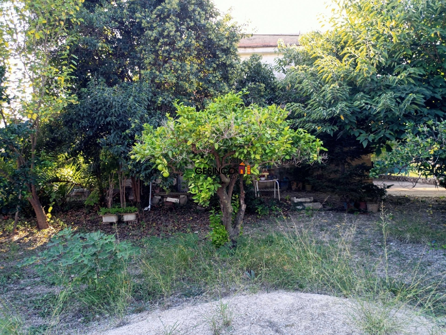  till salu hus Urbanitzacio El Pilar Vall D'albaida 4