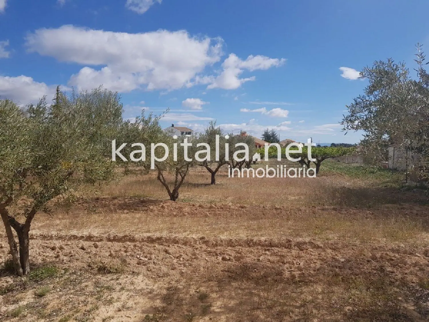 till salu hus Urbanitzacio El Pilar Vall D'albaida 2