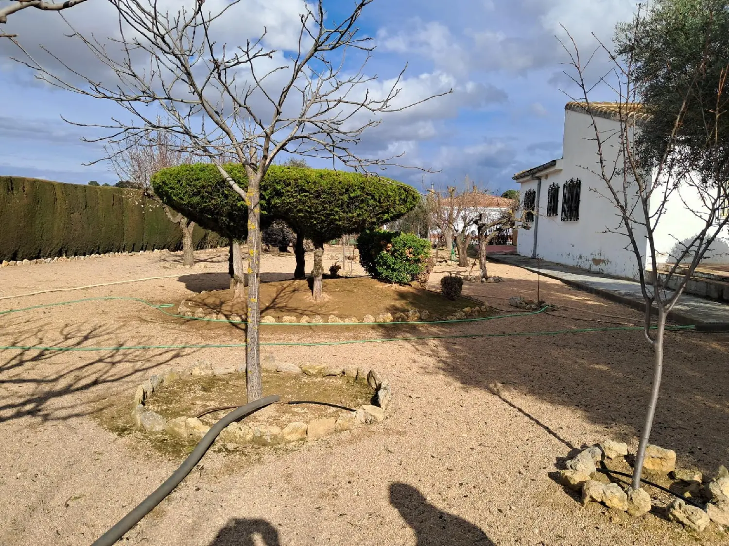  till salu hus Urbanizacion La Pergola Llanos De Albacete 8