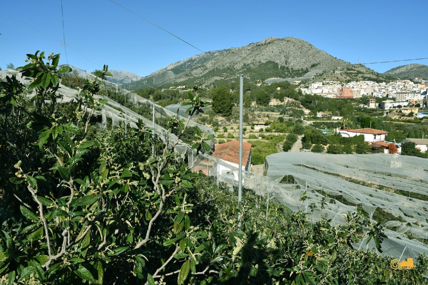  till salu hus Urbanización Almedia Marina Baixa 3