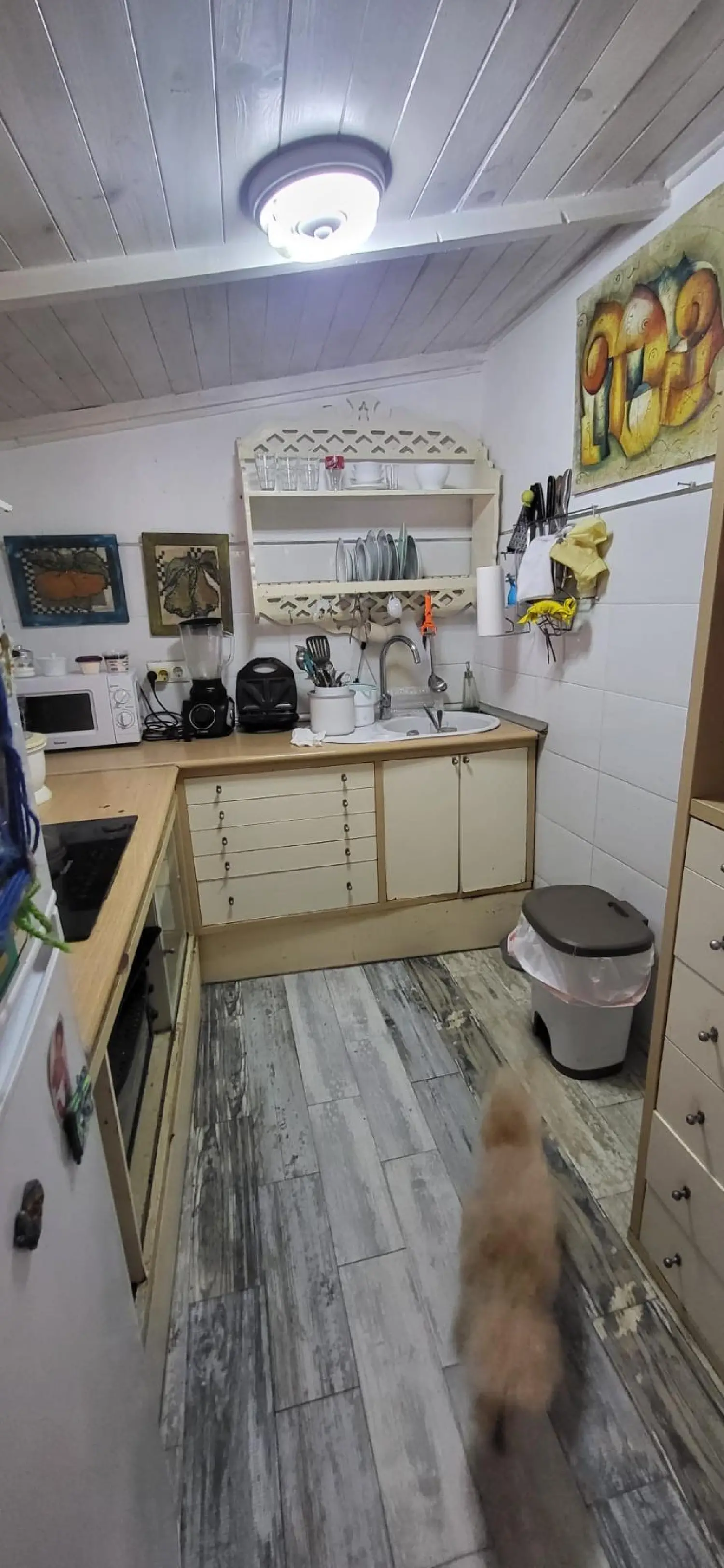  till salu hus Urbanización Santa Agueda Campo De Gibraltar 4