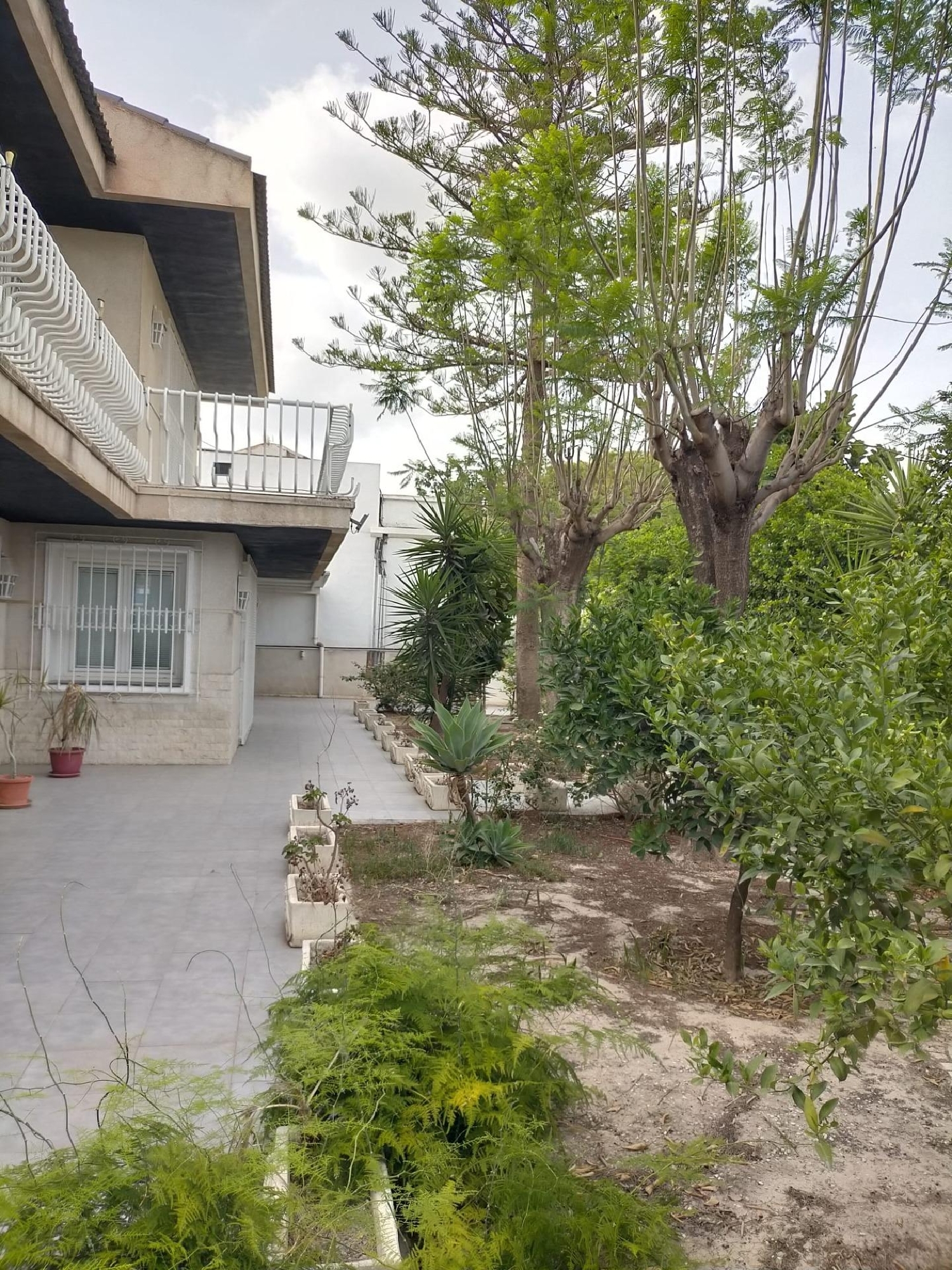  till salu hus Urbanización La Solana Baix Segura 6