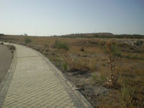 Valdemoro 28343 Sur hus foto 6230851