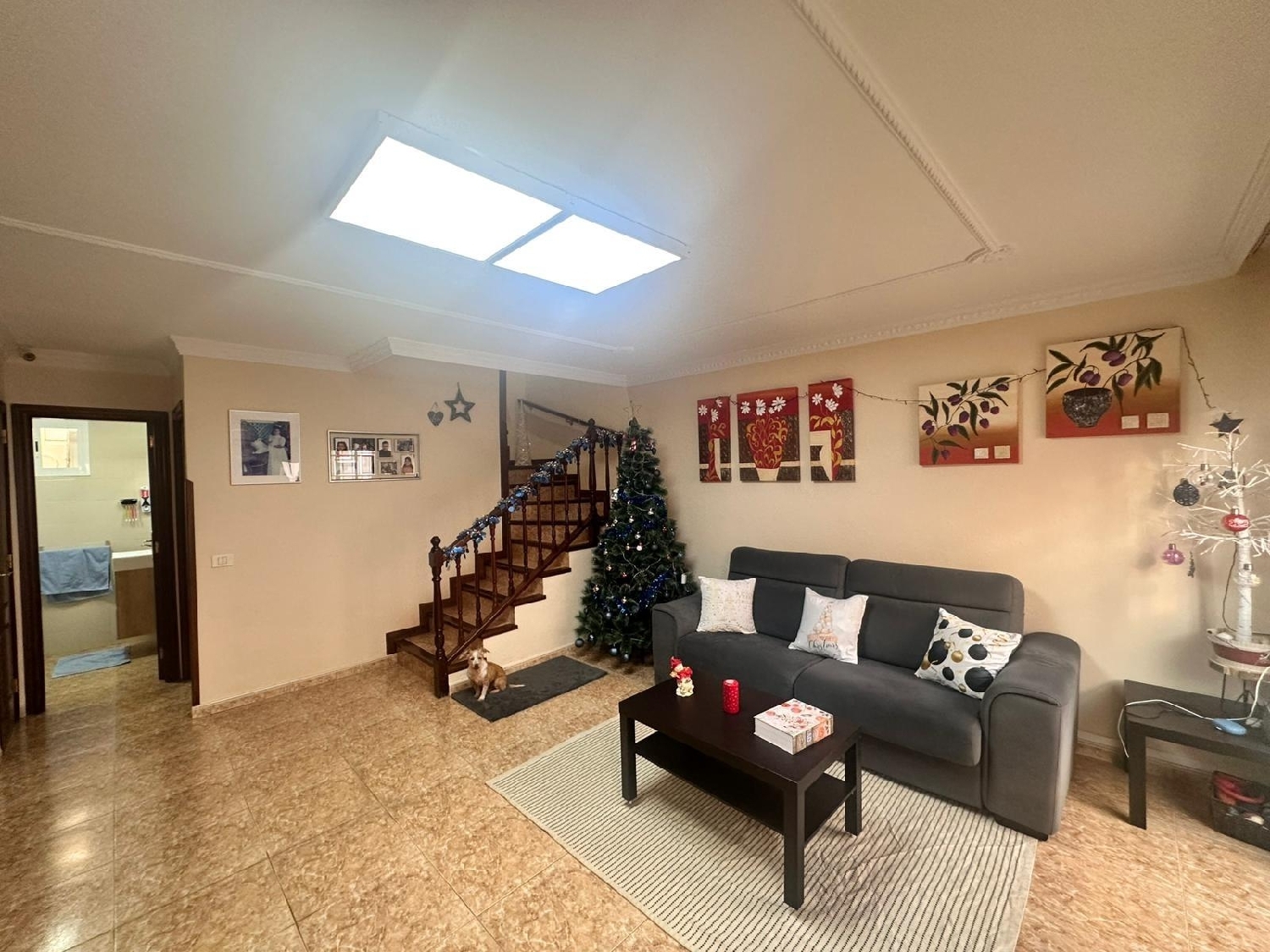  till salu hus Valsequillo Área Centro 6