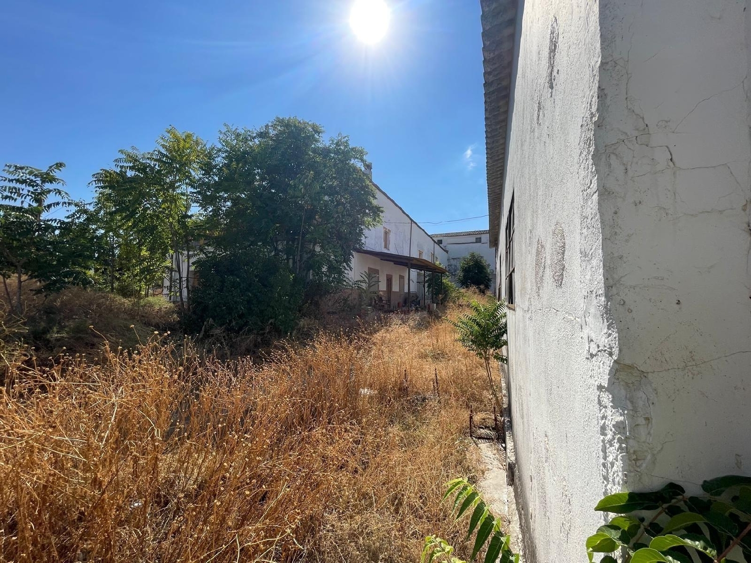 kaufen Haus Espeluy Campiña De Jaén 3