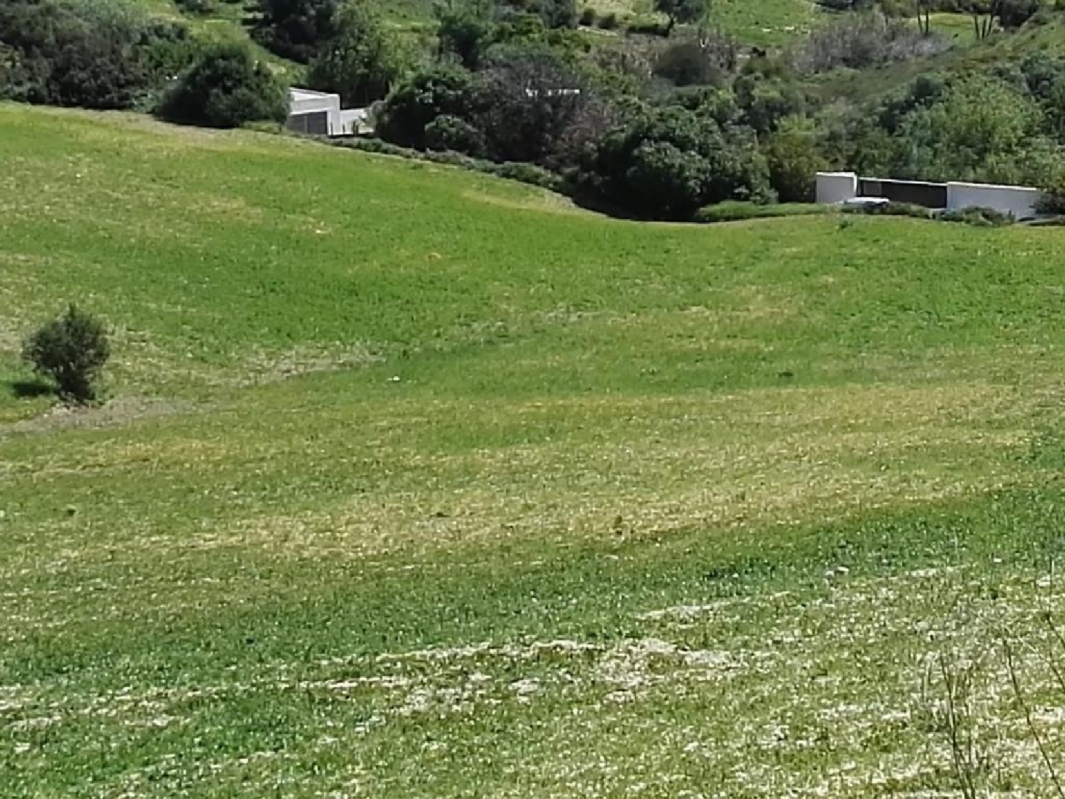  till salu hus Vejer De La Frontera Janda (La) 5
