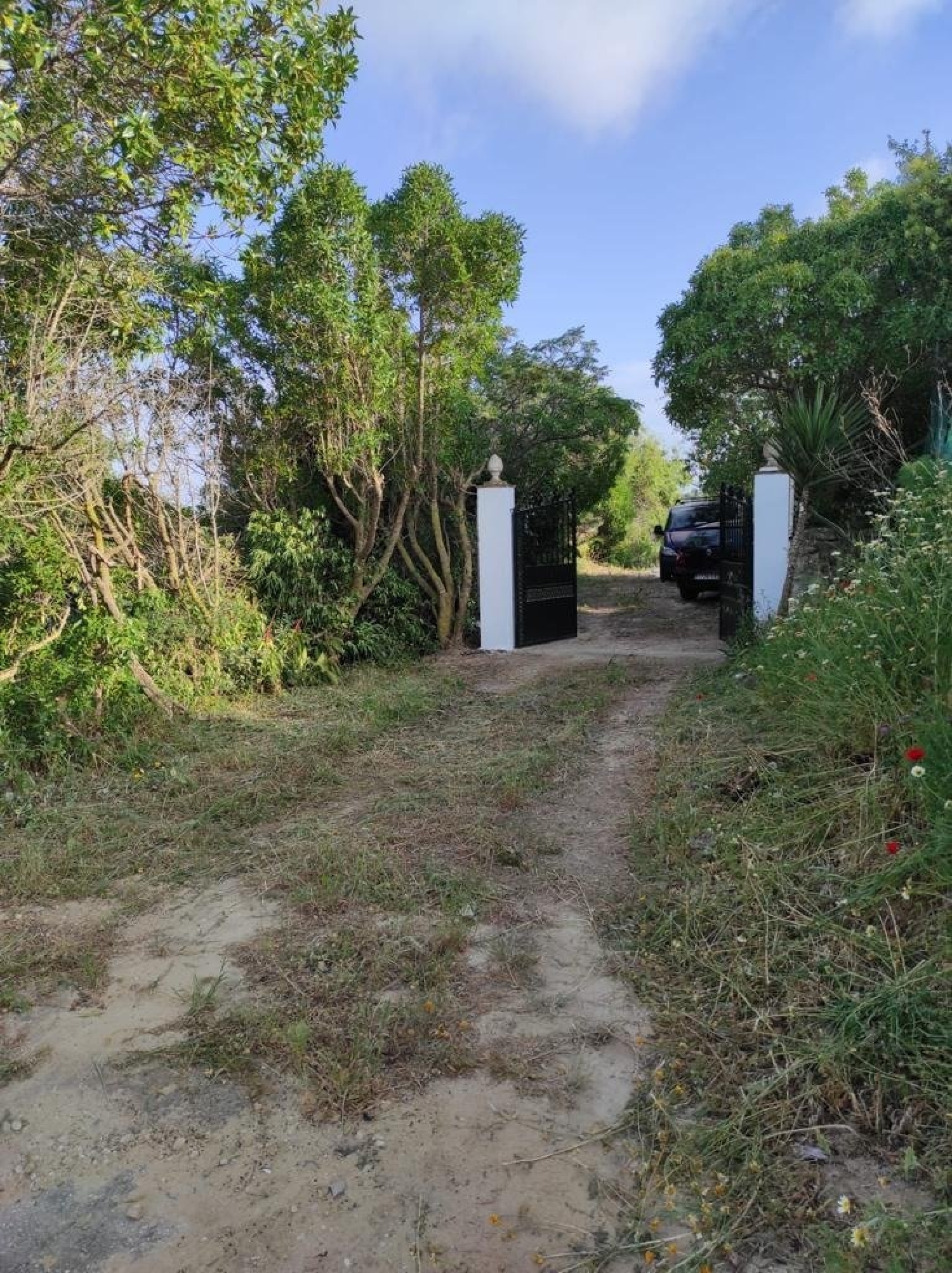  till salu hus Vejer De La Frontera Janda (La) 8