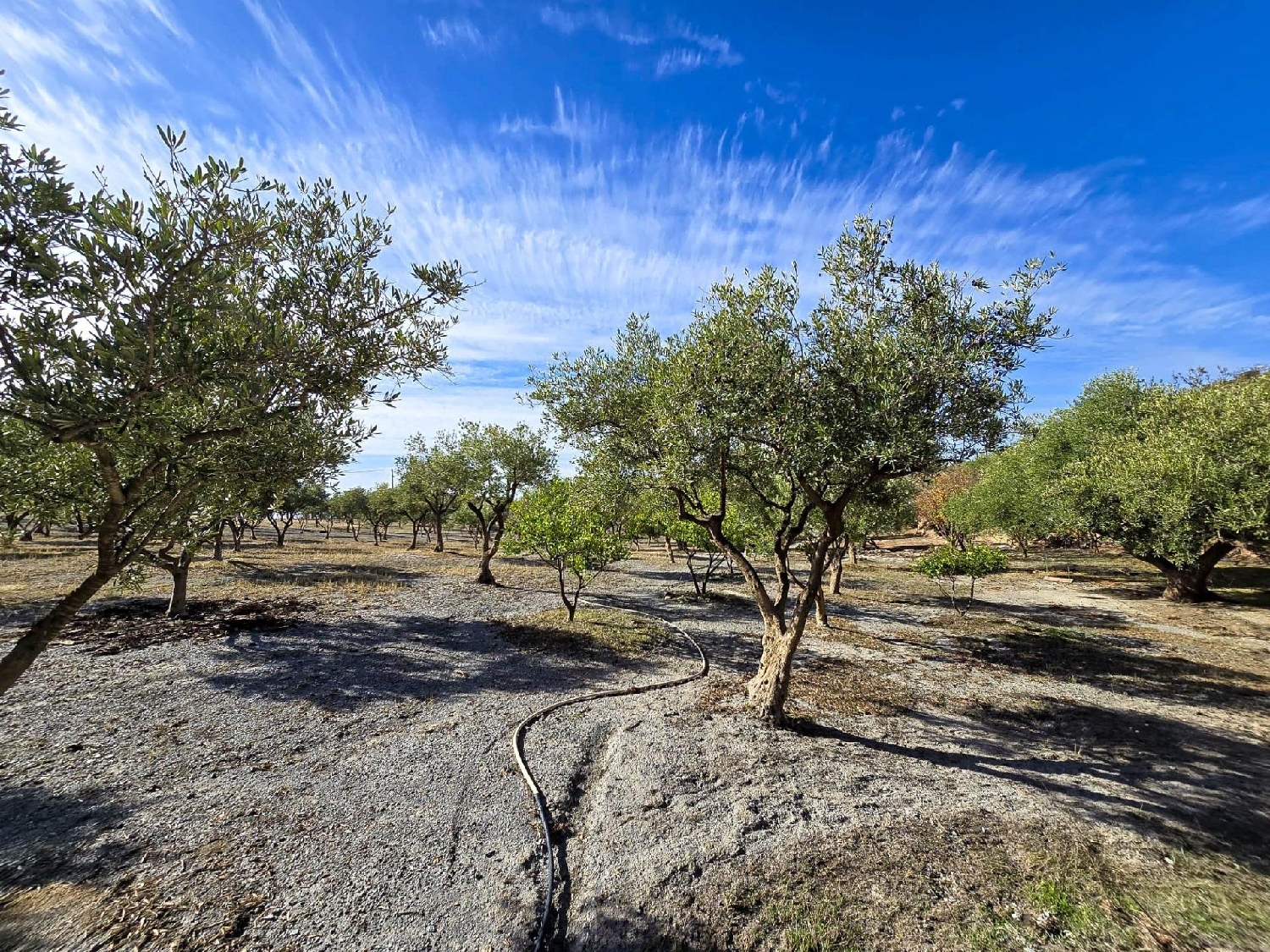 till salu hus Vélez De Benaudalla Costa Tropical 2
