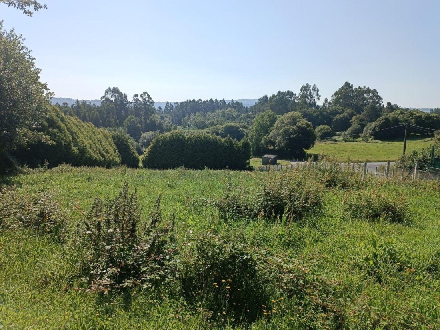  till salu hus Vilademeus Tabeirós-Terra De Montes 4