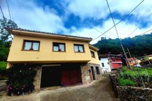 Villaestremeri Caudal hus foto 6228481
