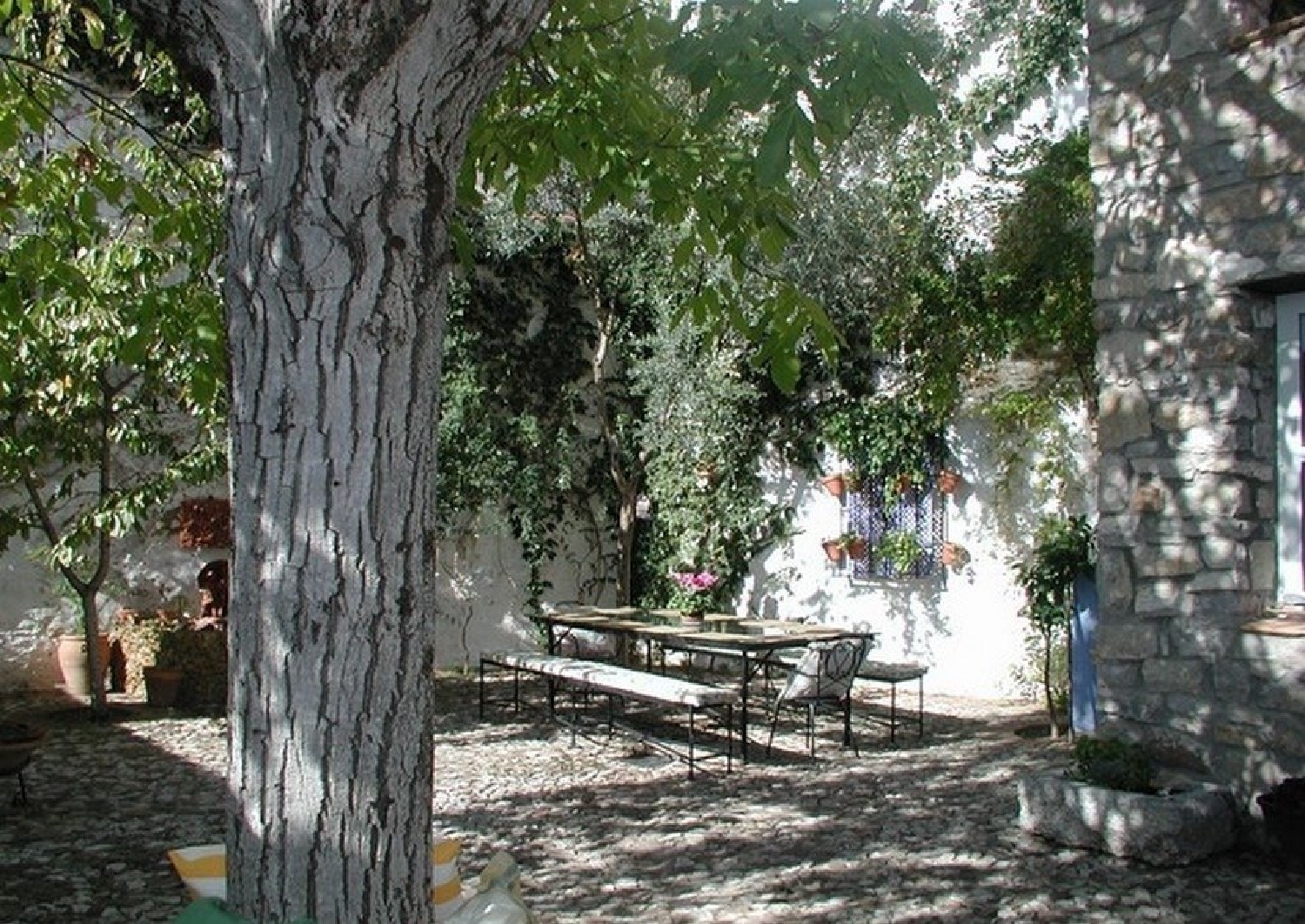 till salu hus Villaluenga Del Rosario Sierra De Cádiz 2
