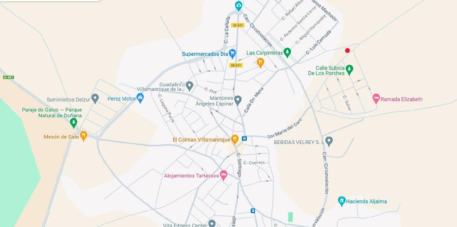  till salu hus Villamanrique De La Condesa Aljarafe 8