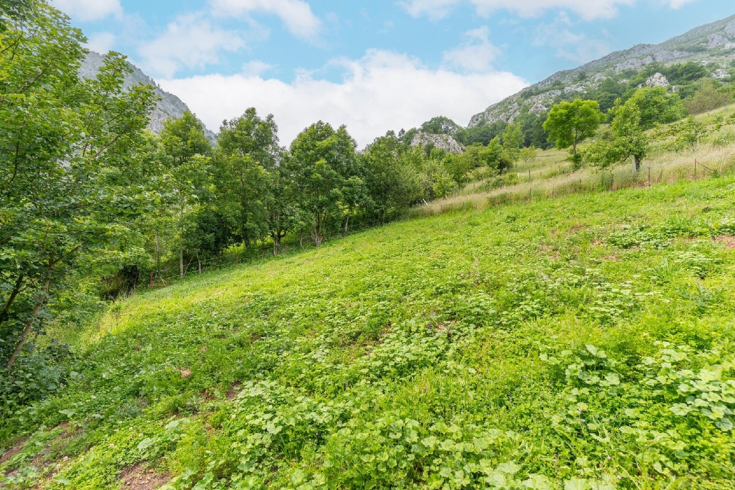  till salu hus Villanueva Oviedo 6