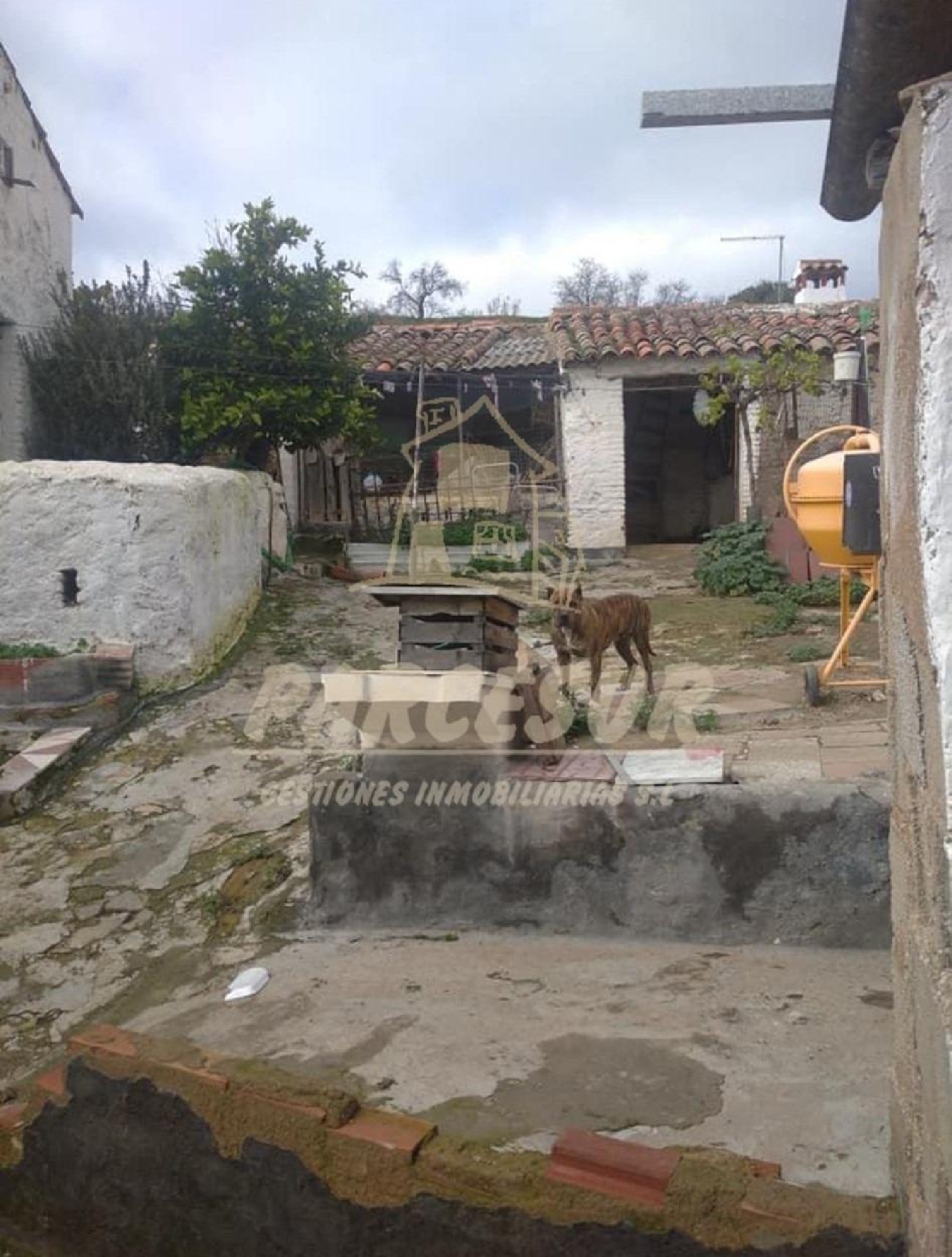  till salu hus Villanueva Del Rey Valle Del Guadiato 6