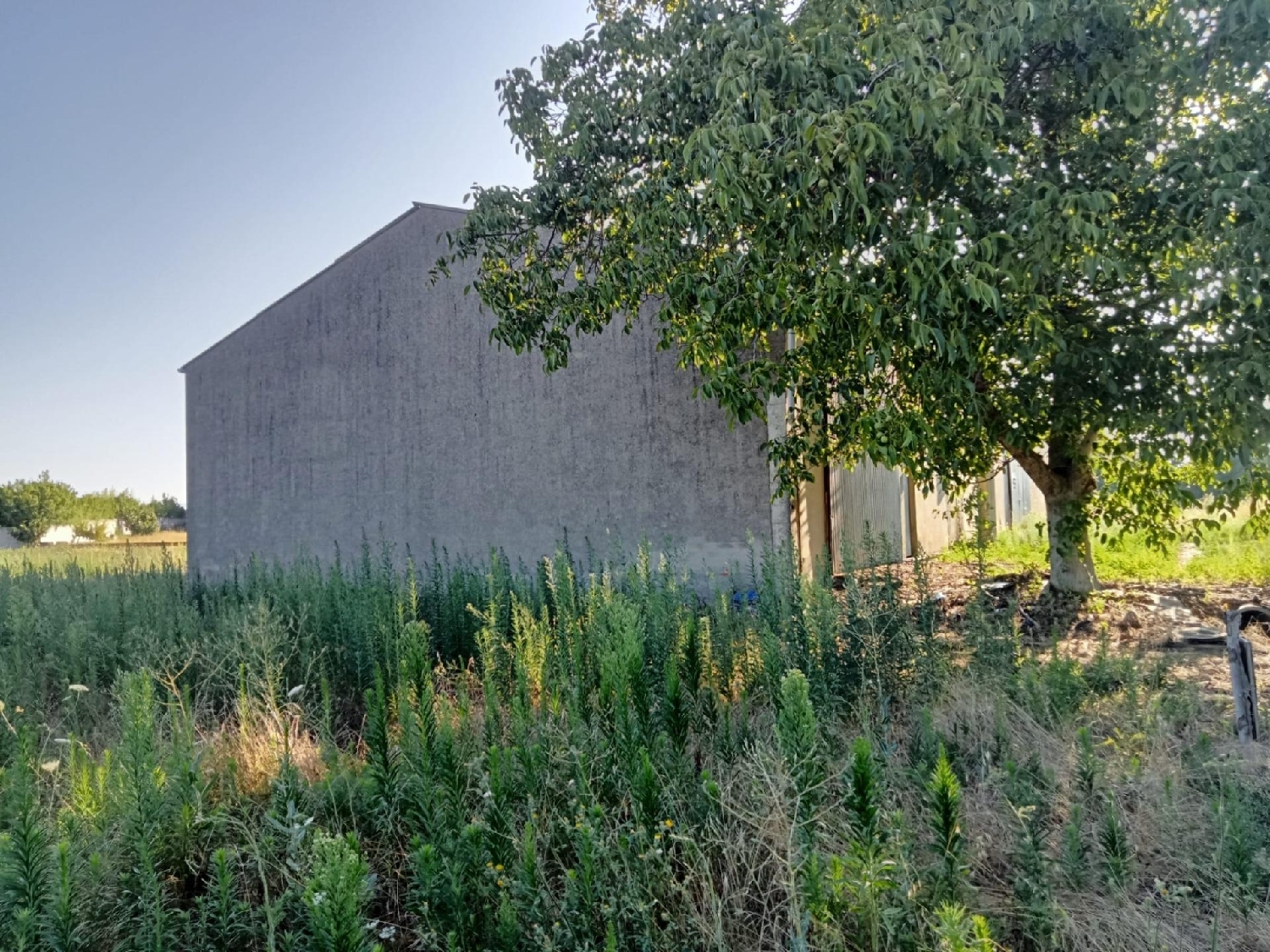  till salu hus Villaverde De La Abadía Bierzo (El) 5