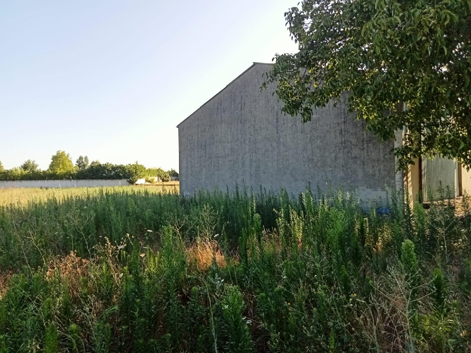  till salu hus Villaverde De La Abadía Bierzo (El) 6