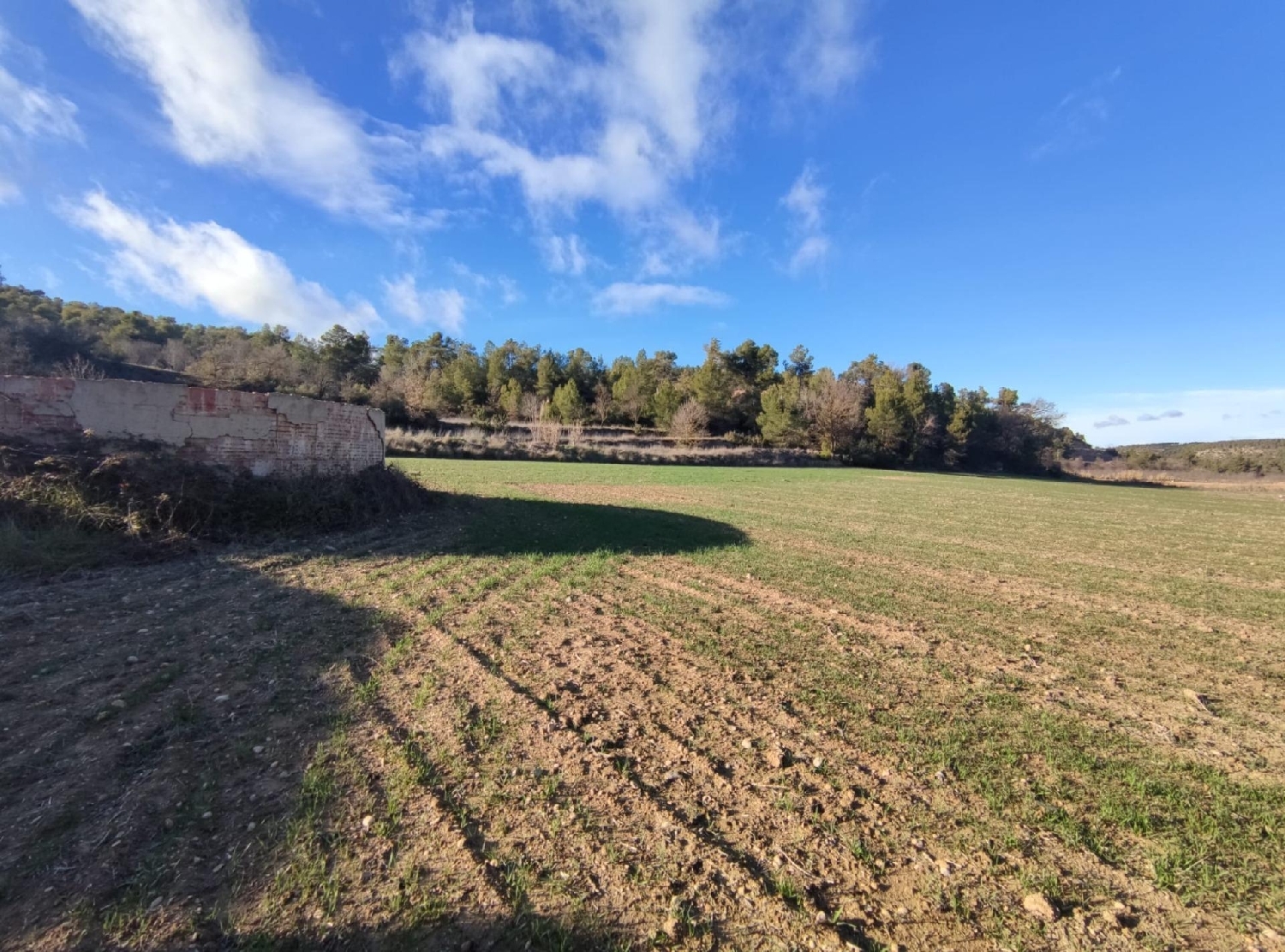  till salu hus Vinaixa Garrigues 8